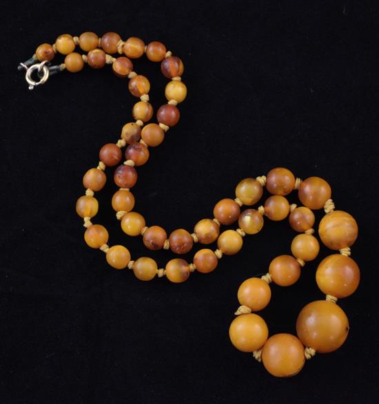 A single strand graduated amber spherical bead necklace, 18in.